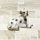 W - Koira, pieni, dalmatialainen makaava