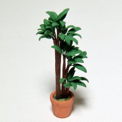 Viherkasvi, palmu saviruukussa, 10 cm