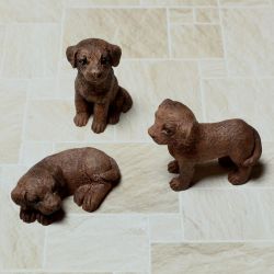 Labradorinnoutaja, pentu, ruskea, 3kpl