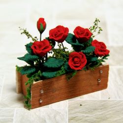 Ruusuja parvekelaatikossa, punaiset, 1 kpl