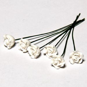 Valkoiset ruusut